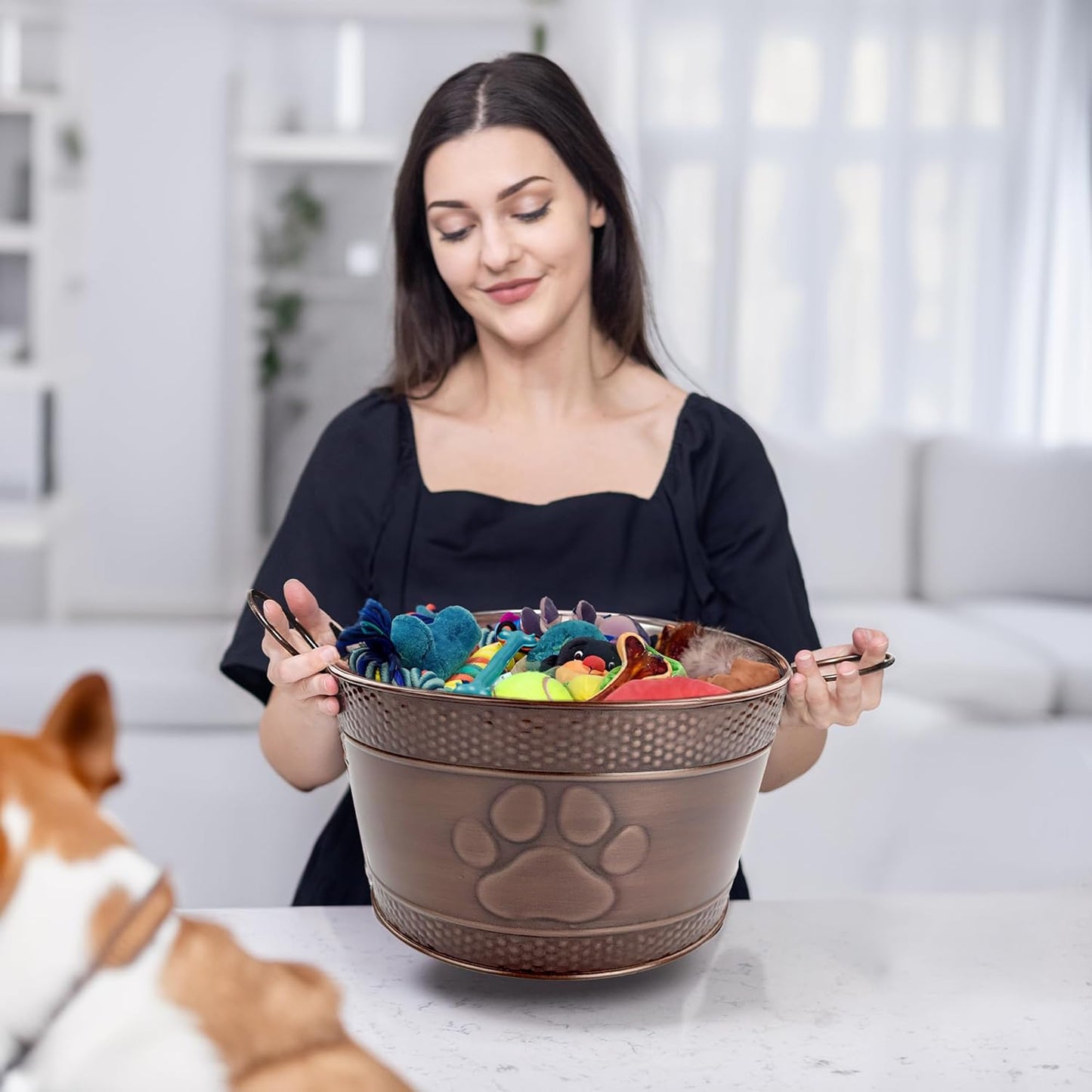 Metal Indestructible Dog Toy Bin - Lead-Free