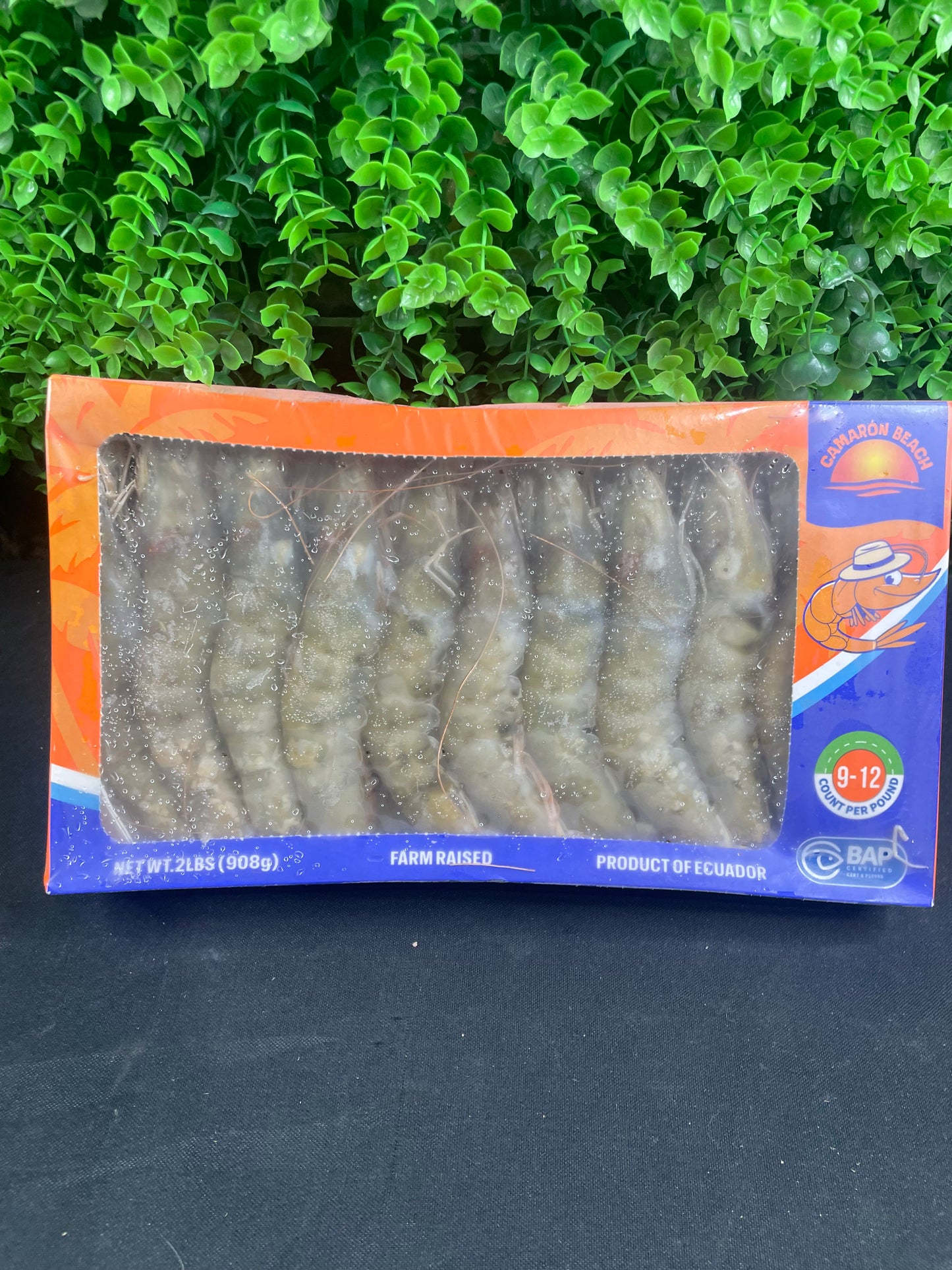 2 lbs - 9/12 Raw White Shrimp, Head-On, Shell-On, IQF