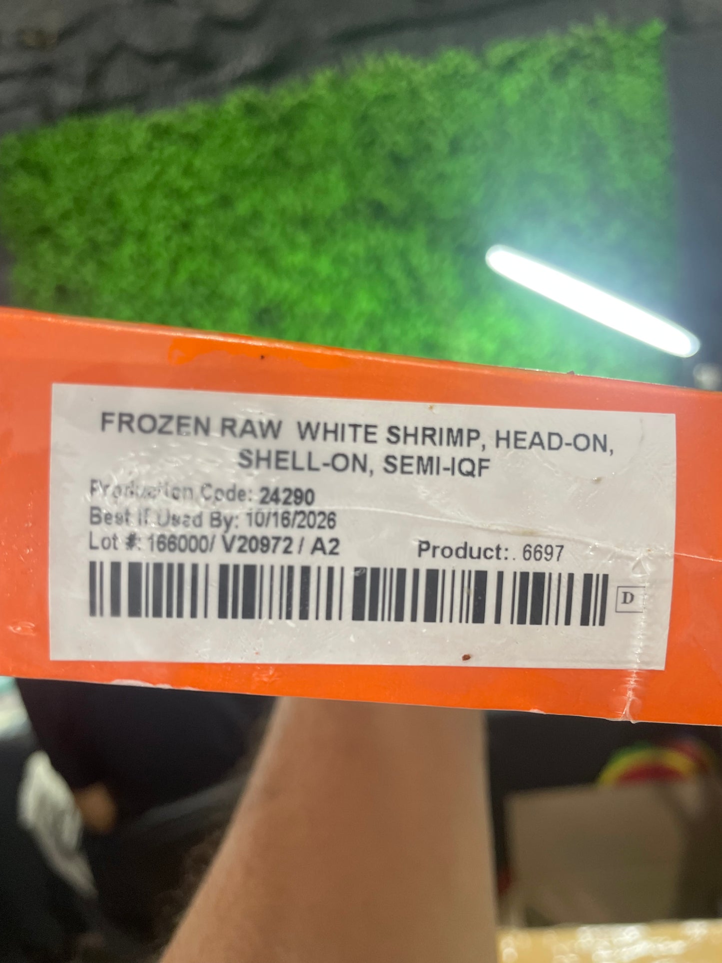 2 lbs - 9/12 Raw White Shrimp, Head-On, Shell-On, IQF