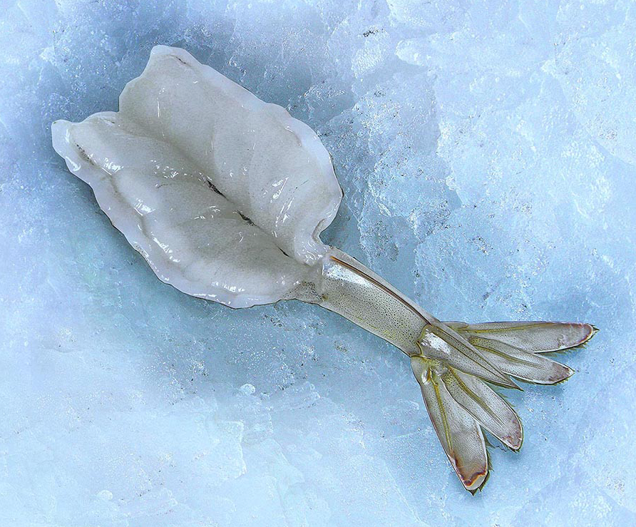 5 lbs bag - 21/25 Butterfly shrimp