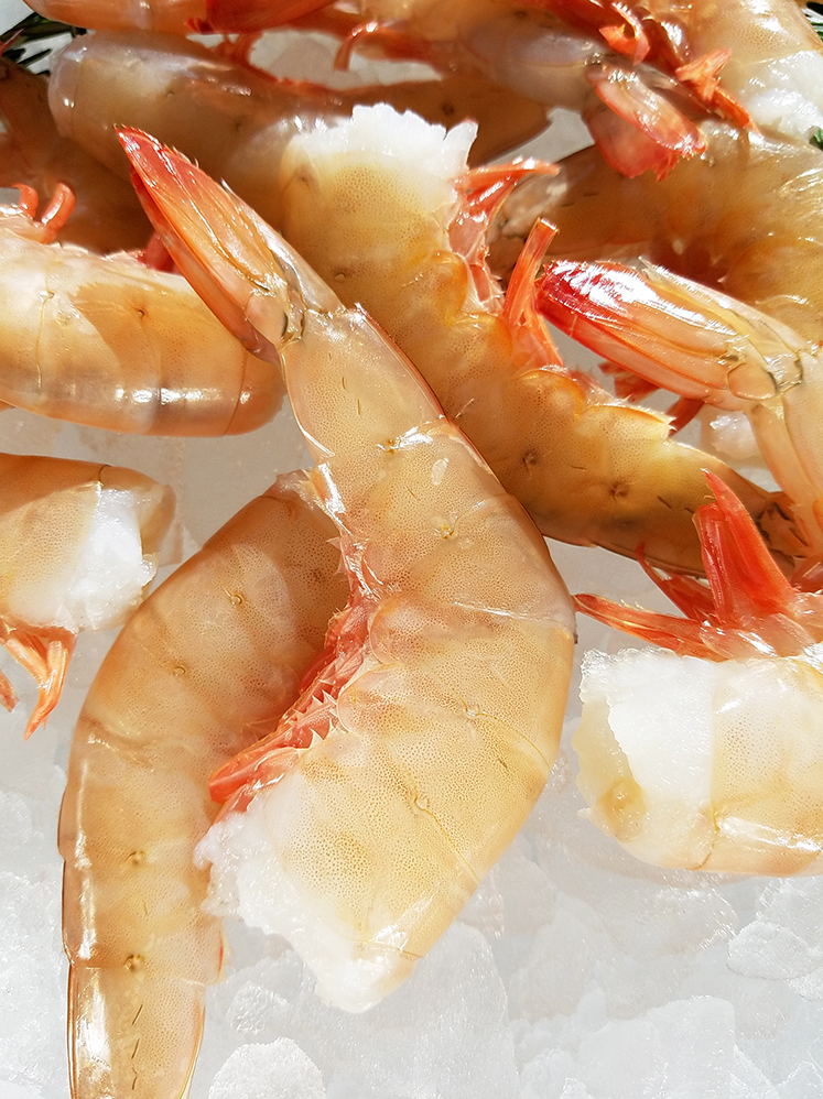 2 lbs bag - 16/20 Shell On Wild, USA IQF. Shrimp