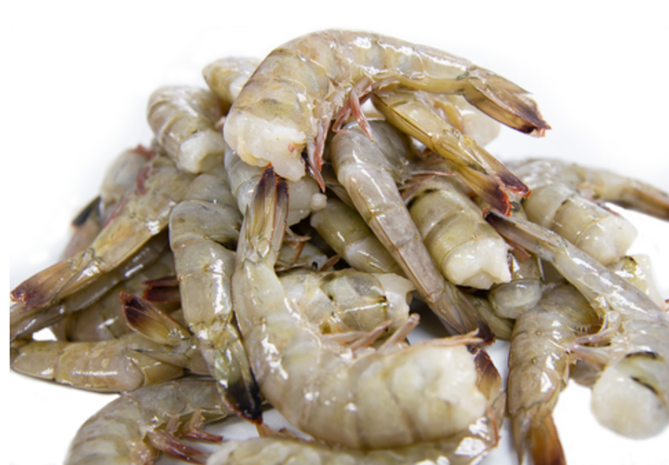 40 lbs Case - 16/20 Shell on, Block, White Ecuador Shrimp