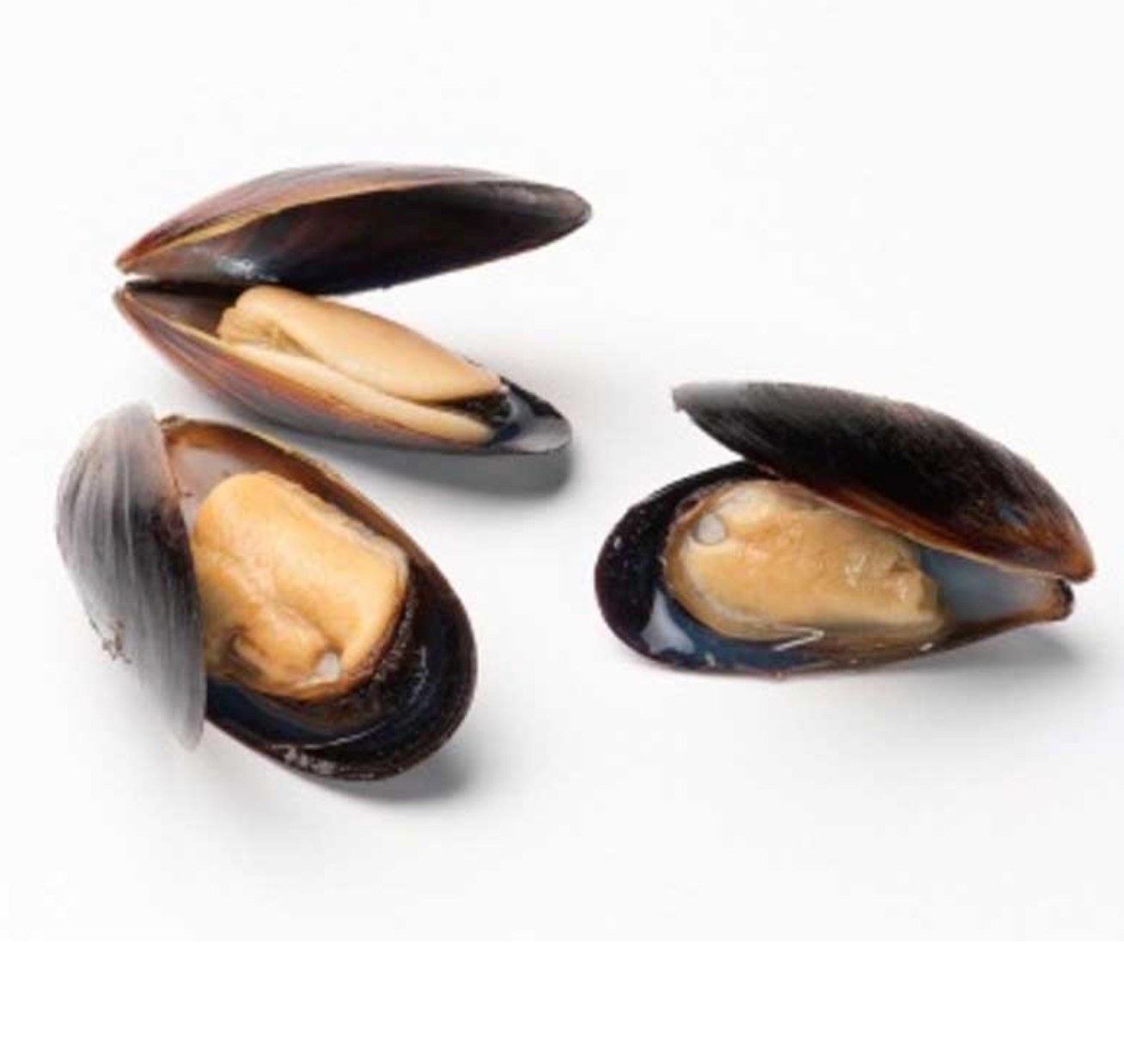 1 lb - MUSSELS, WHOLE SHELL