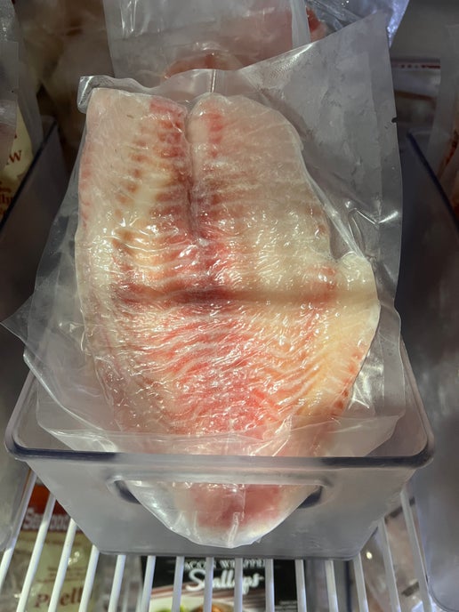 5/7 Tilapia, IVP Fish