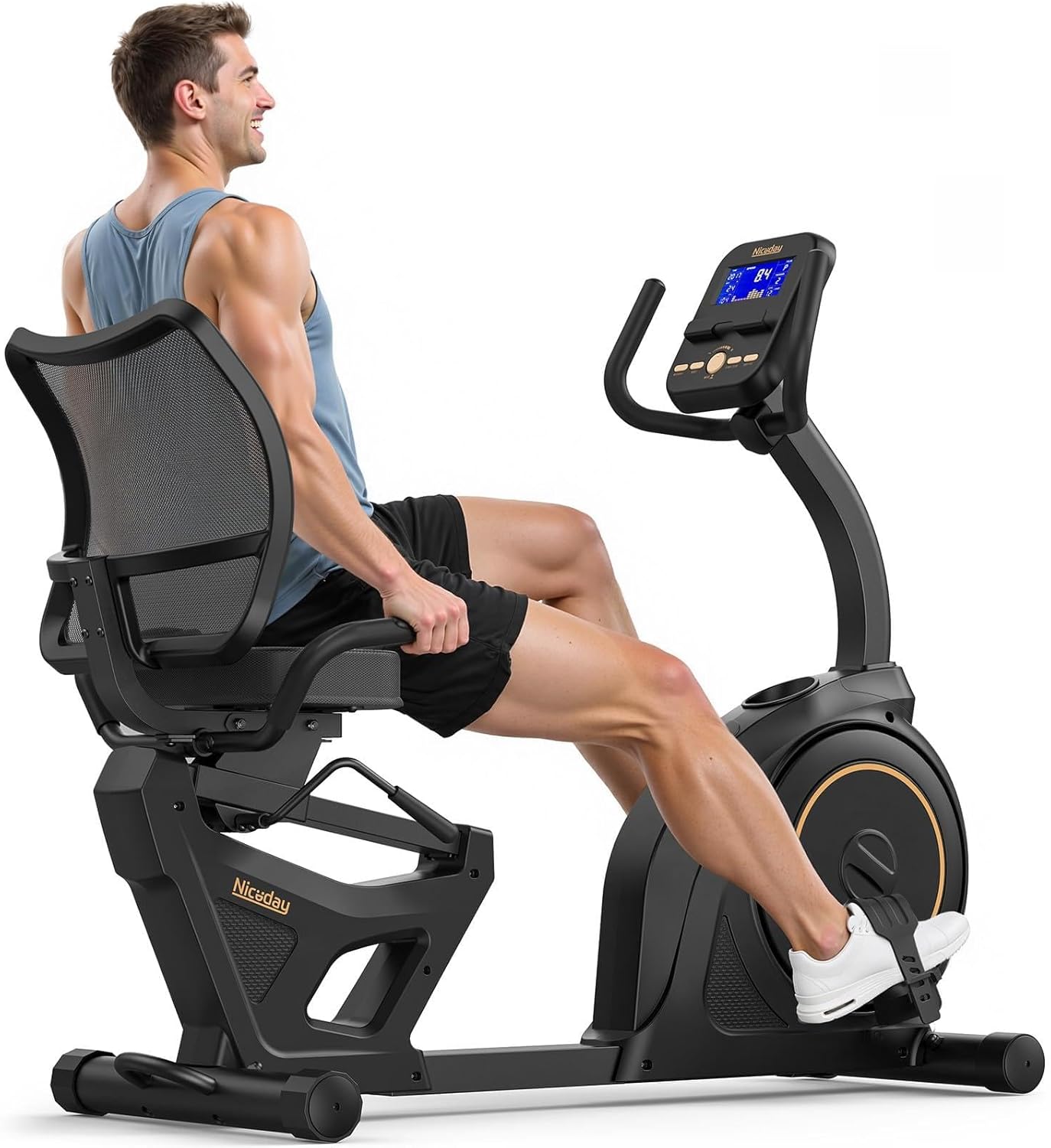 Niceday Recumbent Exercise Bike, 400LBS
