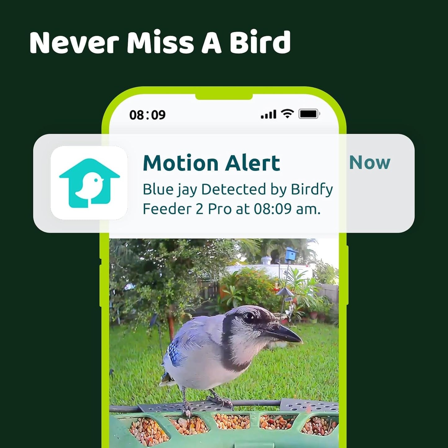 Birdfy 2 Smart Bird Feeder with Camera