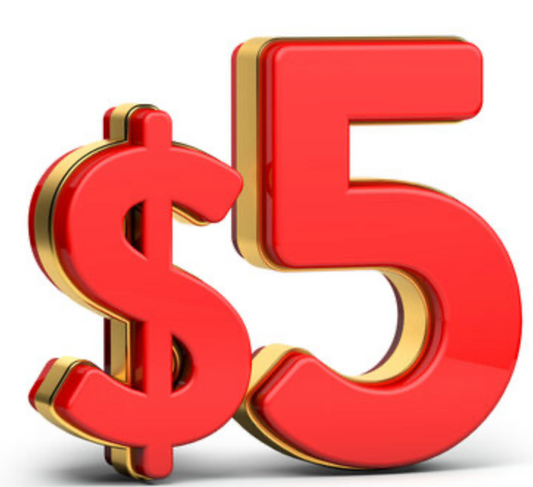 $5 item